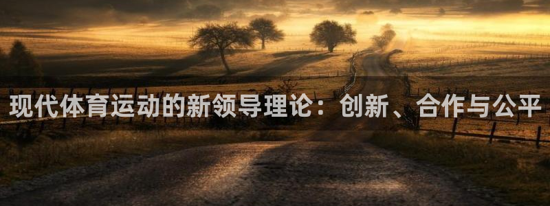 现代体育运动的新领导理论：创新、合作与公平