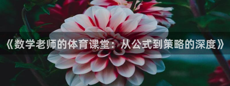 《数学老师的体育课堂：从公式到策略的深度》