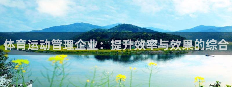 体育运动管理企业：提升效率与效果的综合
