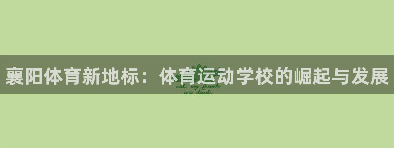 襄阳体育新地标：体育运动学校的崛起与发展