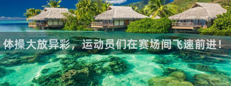 体操大放异彩，运动员们在赛场间飞速前进！