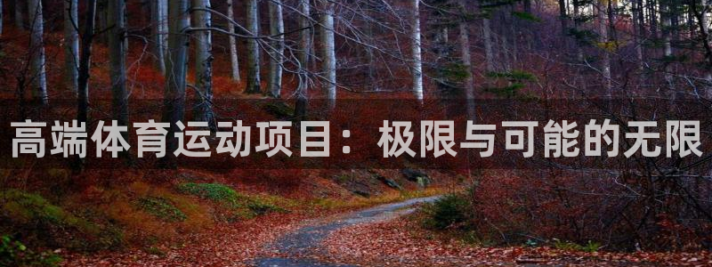 高端体育运动项目：极限与可能的无限