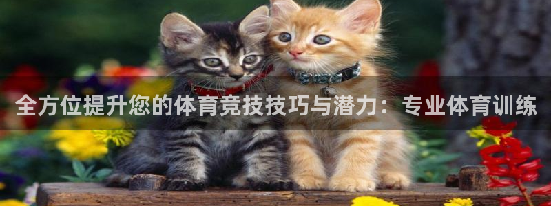 全方位提升您的体育竞技技巧与潜力：专业体育训练
